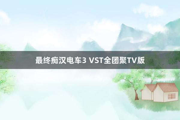 最终痴汉电车3 VST全团聚TV版