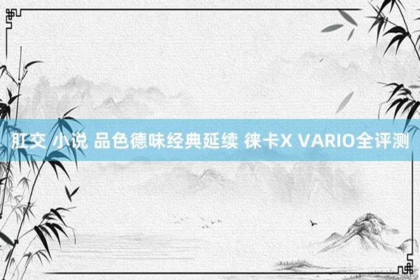 肛交 小说 品色德味经典延续 徕卡X VARIO全评测