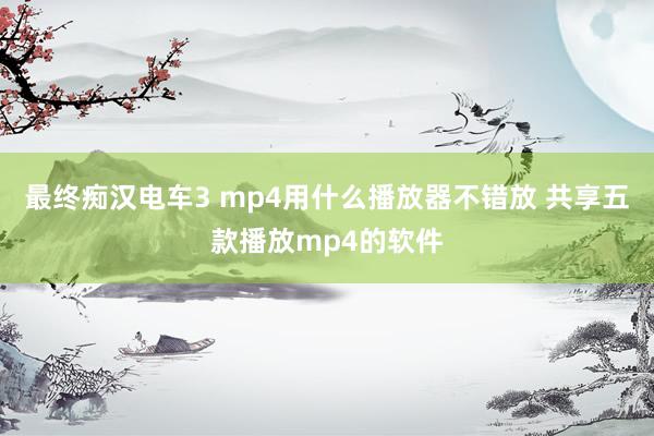 最终痴汉电车3 mp4用什么播放器不错放 共享五款播放mp4的软件