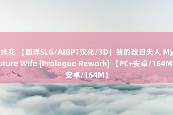 姐妹花 【西洋SLG/AIGPT汉化/3D】我的改日夫人 My Future Wife [Prologue Rework] 【PC+安卓/164M】