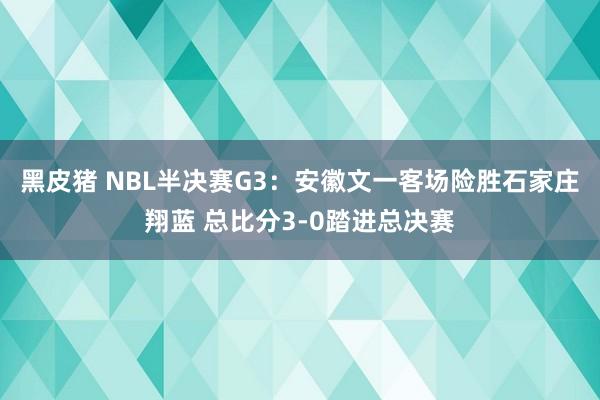黑皮猪 NBL半决赛G3：安徽文一客场险胜石家庄翔蓝 总比分3-0踏进总决赛