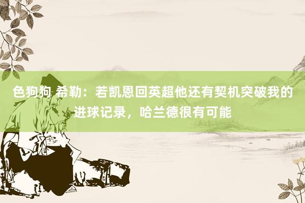 色狗狗 希勒：若凯恩回英超他还有契机突破我的进球记录，哈兰德很有可能