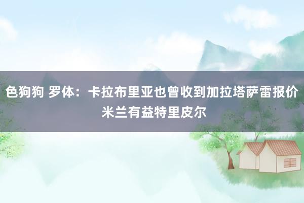 色狗狗 罗体：卡拉布里亚也曾收到加拉塔萨雷报价 米兰有益特里皮尔