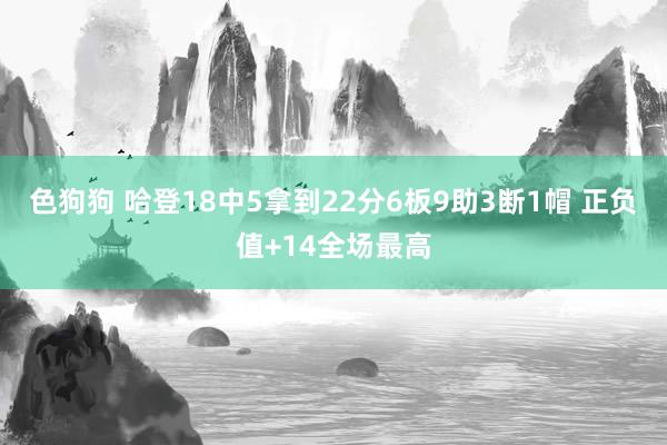 色狗狗 哈登18中5拿到22分6板9助3断1帽 正负值+14全场最高